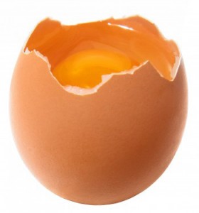 egg