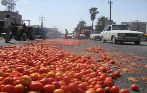 protest-farmer