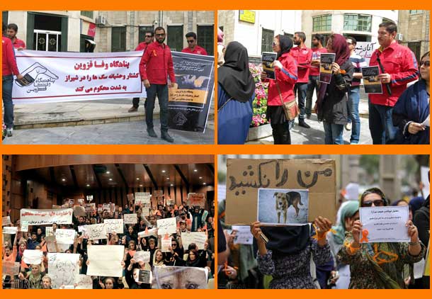 مسئولان پناهگاه وفا قزوین در گردهمایی اعتراضی شیراز شرکت کردند 