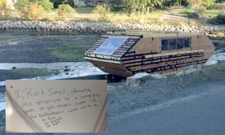 خانه ی قایقی مرموز کانادایی در ایرلند به گل نشست