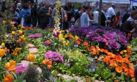 جشنواره ی گل و گیاه فرصتی برای ستایش طبیعت