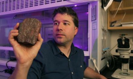قدیمی ترین اثر حیات بر روی کره ی زمین در کبک پیدا شد