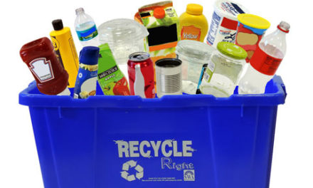 مراقب بازیافتی های خود باشیم، ماموران شهرداری در راهند