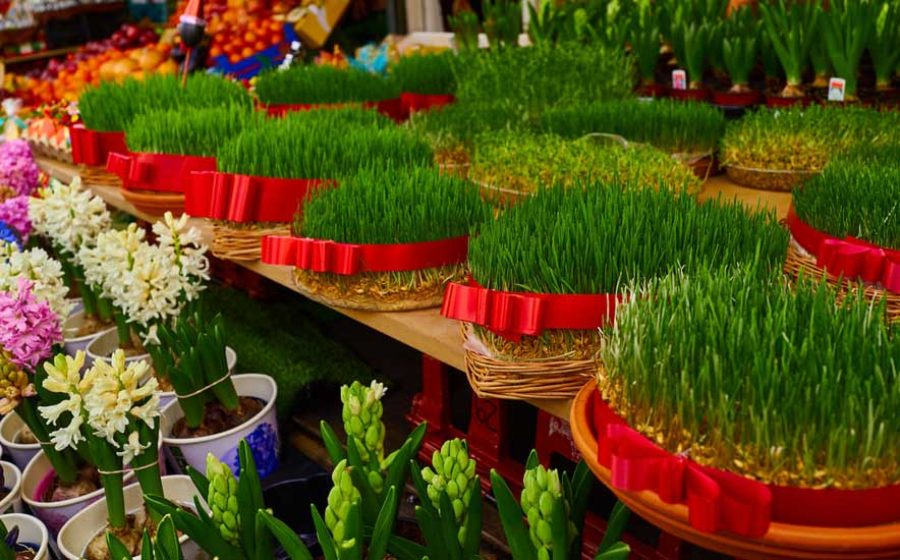 sabzeh-Nowruz