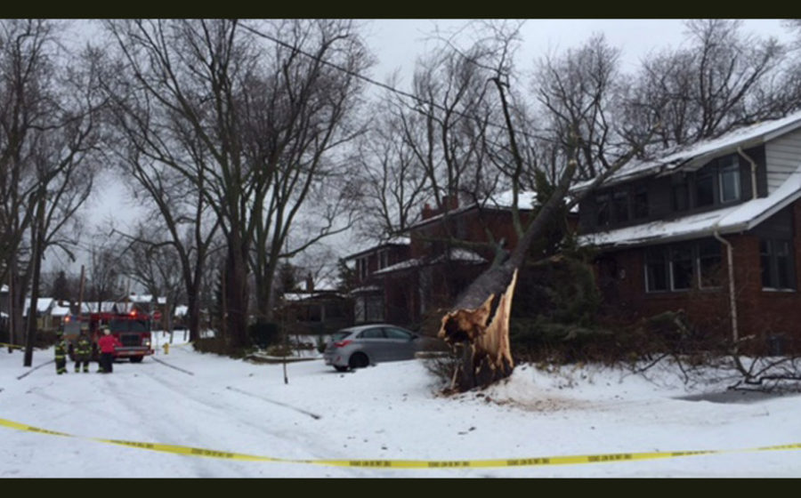 ice-storm-Toronto