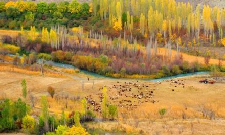 روستای هرانده و غار بورنیک/جعفر سپهری