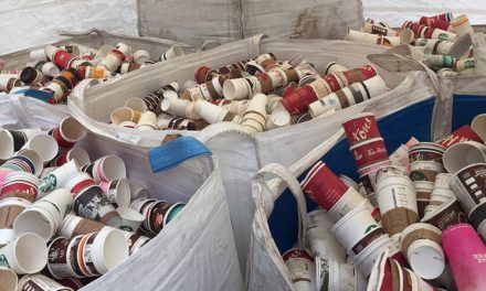 اقدام دولت فدرال کانادا برای کاهش پلاستیک یک بار مصرف