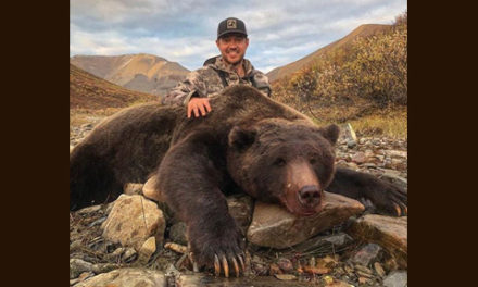 خشم مردم از یک بازیکن هاکی کانادایی به دلیل شکار خرس