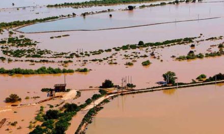 سیل در ایران؛ صلیب سرخ عدم امکان ارسال کمک به سیل زدگان در ایرن را رد کرد