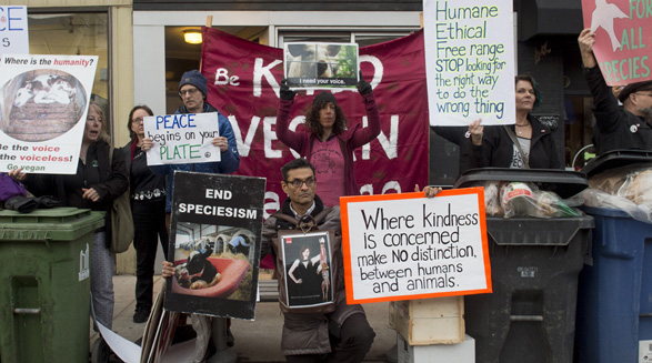 تظاهرات فعالان حقوق حیوانات به شیوه ی جدیدی در تورنتو برگزار شد
