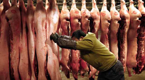 قوانین سختگیرانه تر چین برای بررسی گوشت خوک وارداتی از کانادا
