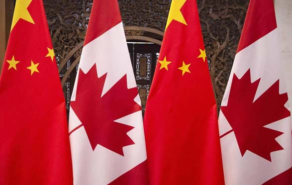 درگیری چین و کانادا بر سر گوشت خوک