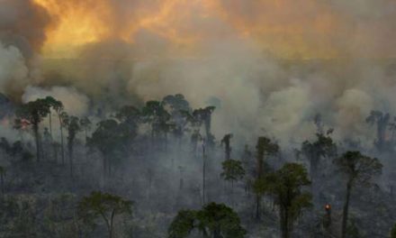 برزیل کمک گروه هفت را برای کنترل آتش‌سوزی در جنگل‌های آمازون رد کرد