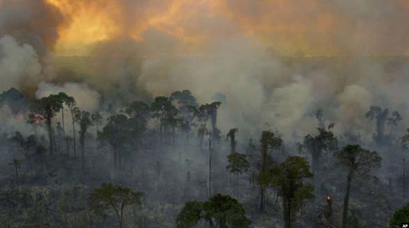 برزیل کمک گروه هفت را برای کنترل آتش‌سوزی در جنگل‌های آمازون رد کرد